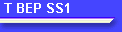 T BEP SS1
