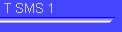 T SMS 1