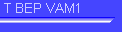 T BEP VAM1